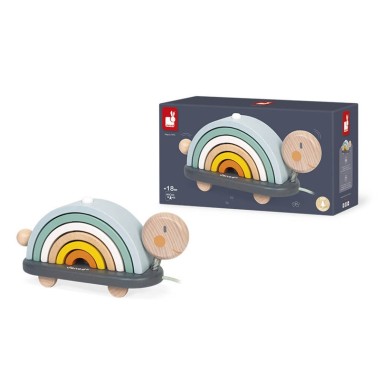 Tartaruga trainabile arcobaleno